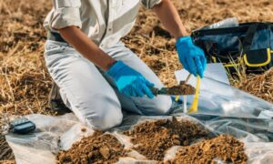 Percolation test soil sampling henderson - ALTA SURVEY Nevada Technician wearing blue gloves collecting soil samples for a percolation test in an outdoor field.