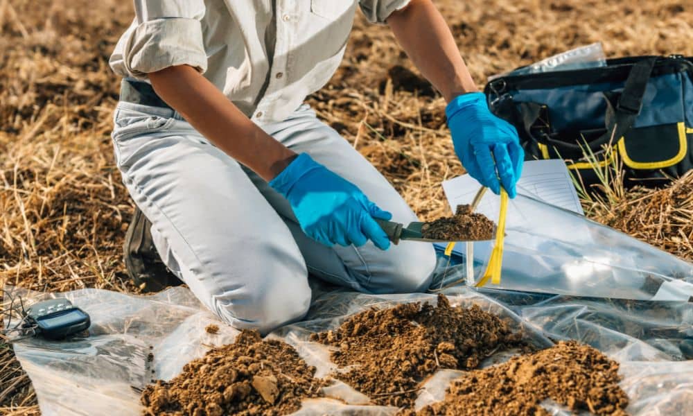 Technician wearing blue gloves collecting soil samples for a percolation test in an outdoor field.
